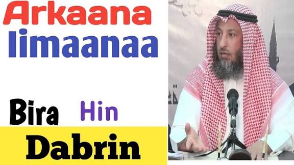 Nuure Business Insights